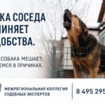 Собака соседа лает круглые сутки