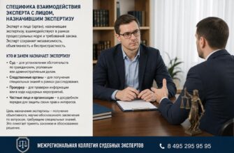 Как эксперт и следователь находят общий язык