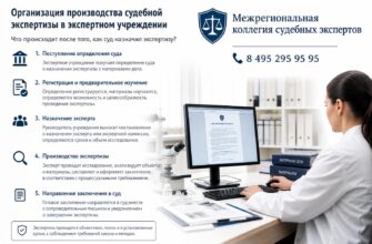 Как устроена работа эксперта изнутри: суда до заключения